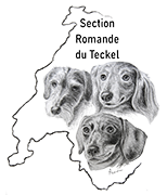 SRT - Section Romande du Teckel