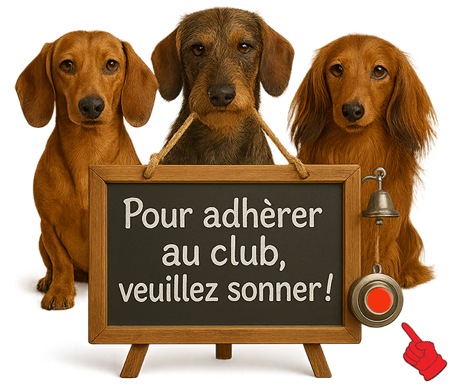 Section Romande du Teckel : « Pour adhérer au club, cliquez sur la sonnette »